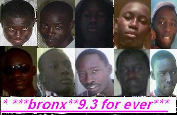 wa bronx9.3
