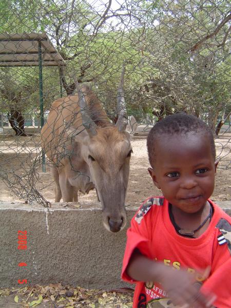 junior 