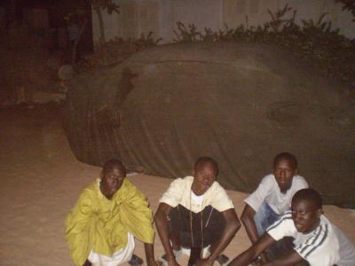 wa puissance
